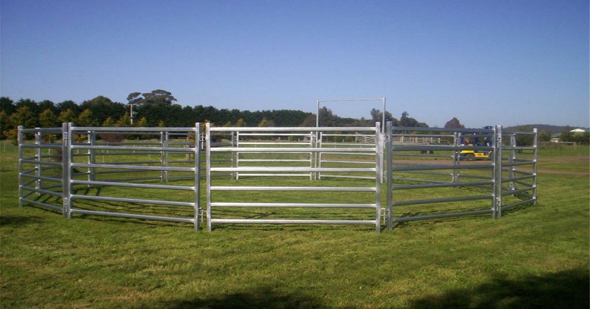 1200 x 630 - jpeg. xmm galvanised cattle panel china supplier. 