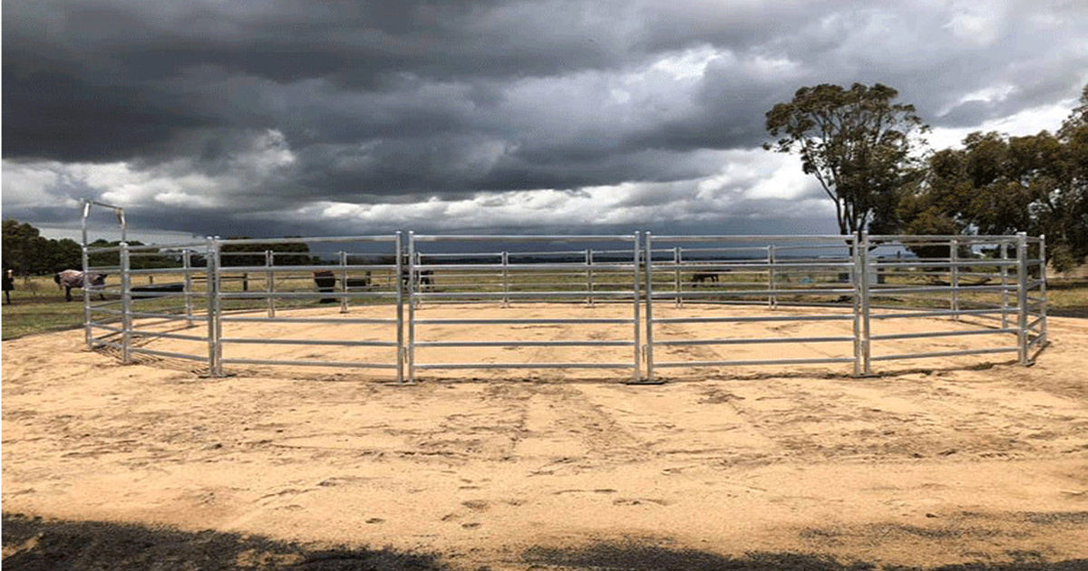 30 x 60mm Horse Panel 6 Ovals 1.8 x 2.1m China Supplier